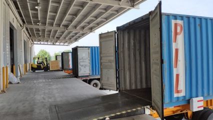 阳逻港连续15天吞吐量破2000标箱，外贸进出口加速推动奶制品批发与贸易发展