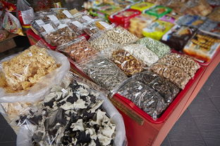 成都无糖食品及奶制品批发市场分布与进出口指南